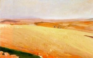 Field of wheat, Castilla