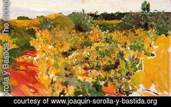 Joaquin Sorolla y Bastida - Vineyard, Jerez