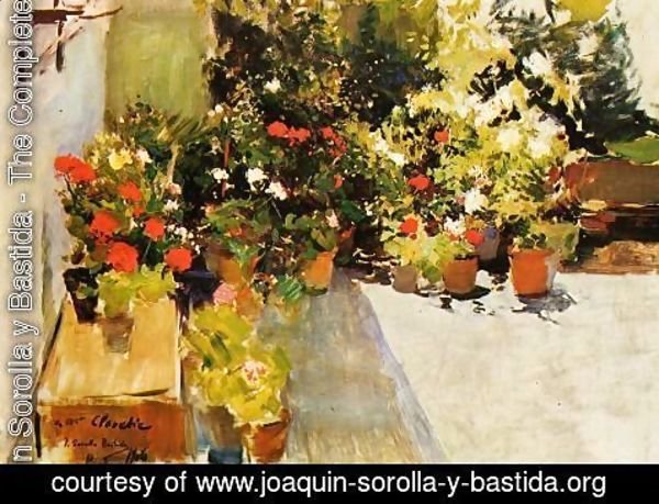 Joaquin Sorolla y Bastida - A Rooftop with Flowers