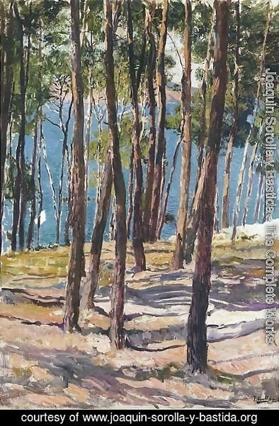 Joaquin Sorolla y Bastida - Pine Trees, Galicia (Pinos de Galicia)