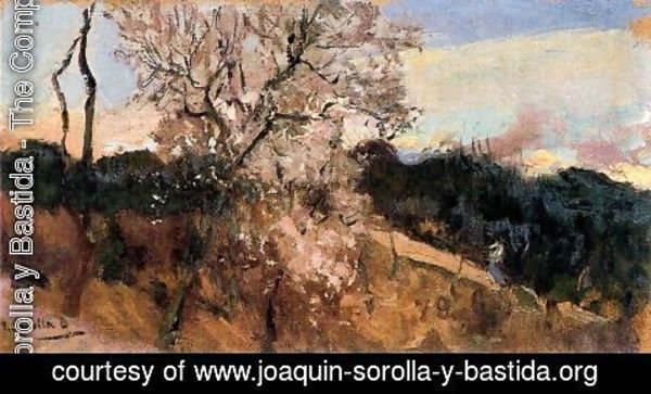 Joaquin Sorolla y Bastida - 