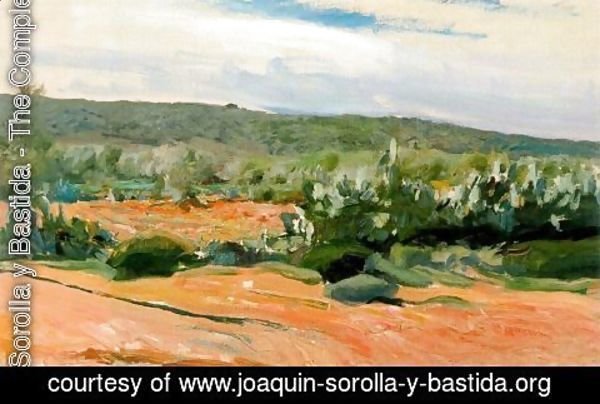 Joaquin Sorolla y Bastida - Chumberas study