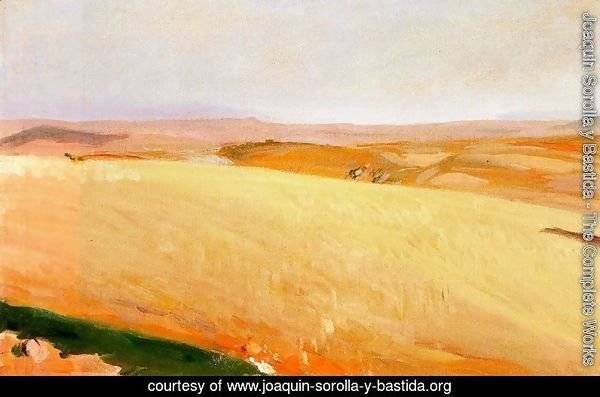 Field of wheat, Castilla
