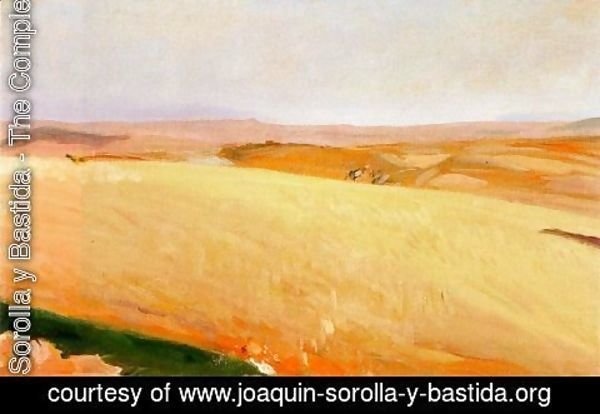 Joaquin Sorolla y Bastida - Field of wheat, Castilla