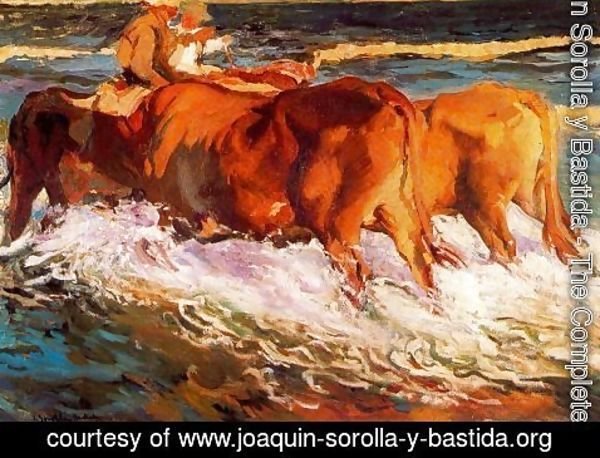 Joaquin Sorolla y Bastida - Oxen (Study for 'sun in the afternoon')