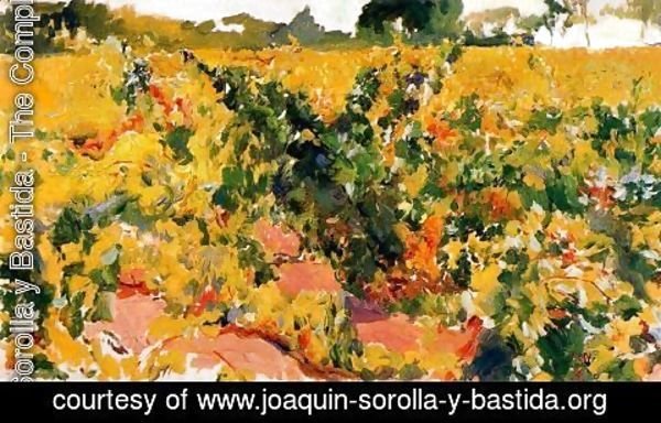 Joaquin Sorolla y Bastida - Vineyards study