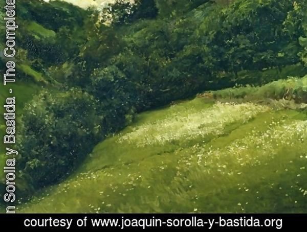 Joaquin Sorolla y Bastida - Field in Asturias