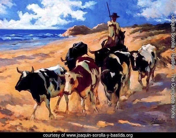 Oxen at the Beach
